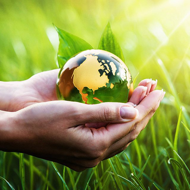Priority Waste Recycling for Your Business