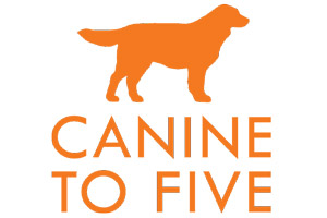 Canine to Five
